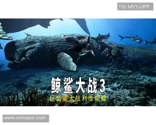 克莱蒙与卡昂激战正酣谁能在这场对决中笑到最后